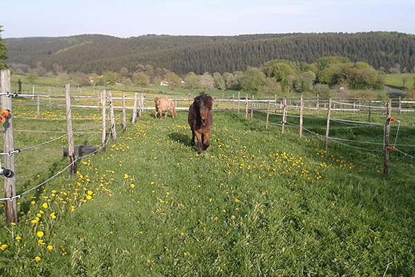 Zimmer mit Ausblick