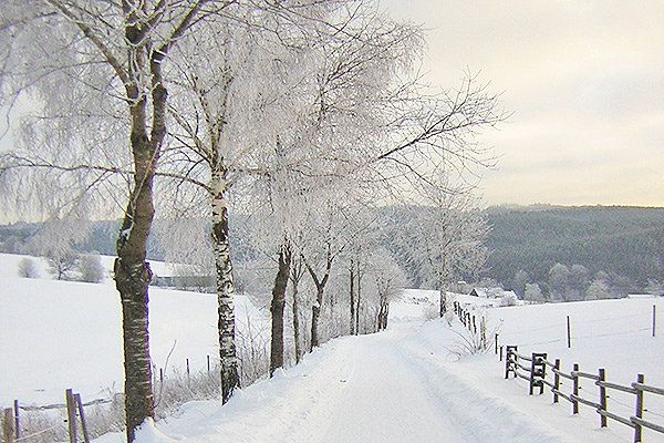 Winterweg